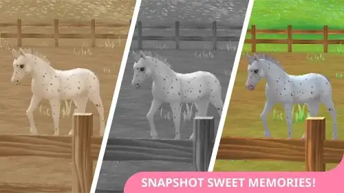 Star Stable Horses