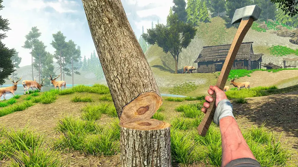 Woodcraft Island Survival Game