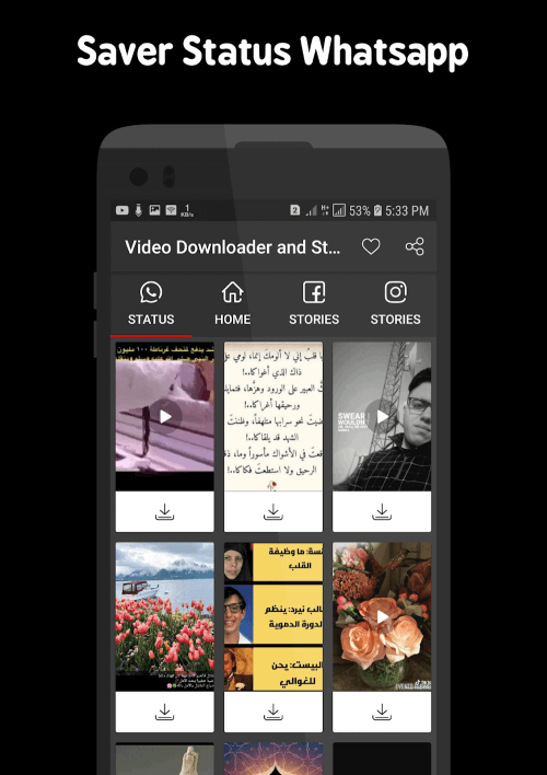 Video Downloader and Stories