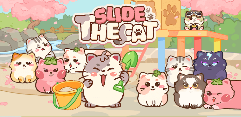 Slide The Cat