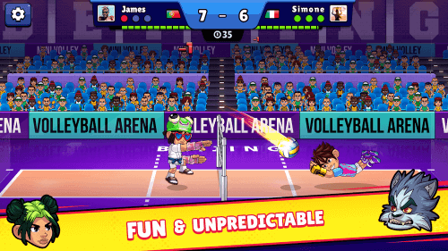 Volleyball Arena