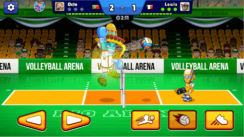 Volleyball Arena