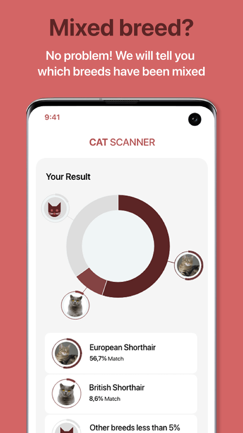 Cat Scanner: Breed Recognition