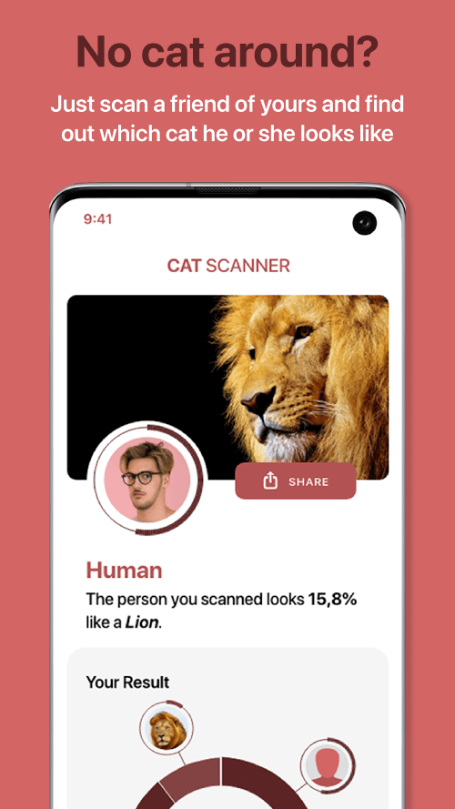 Cat Scanner: Breed Recognition