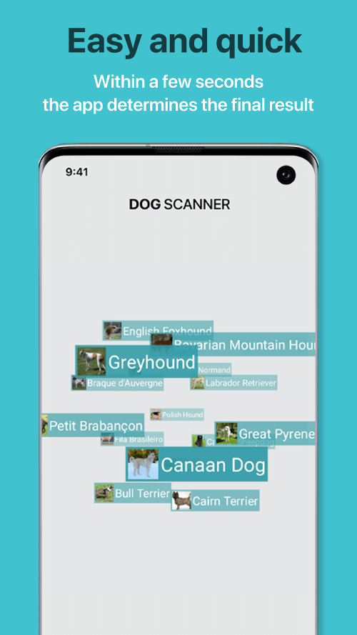 Dog Scanner: Breed Recognition