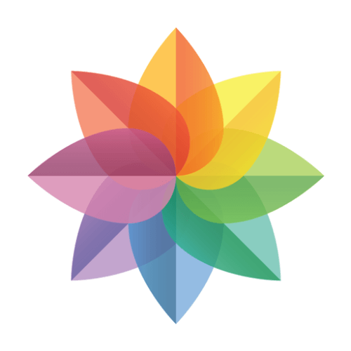 Gallery – Photo Gallery, Album