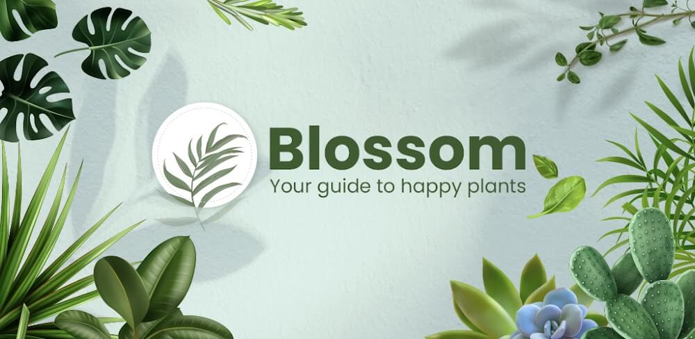 Blossom – Plant Identification