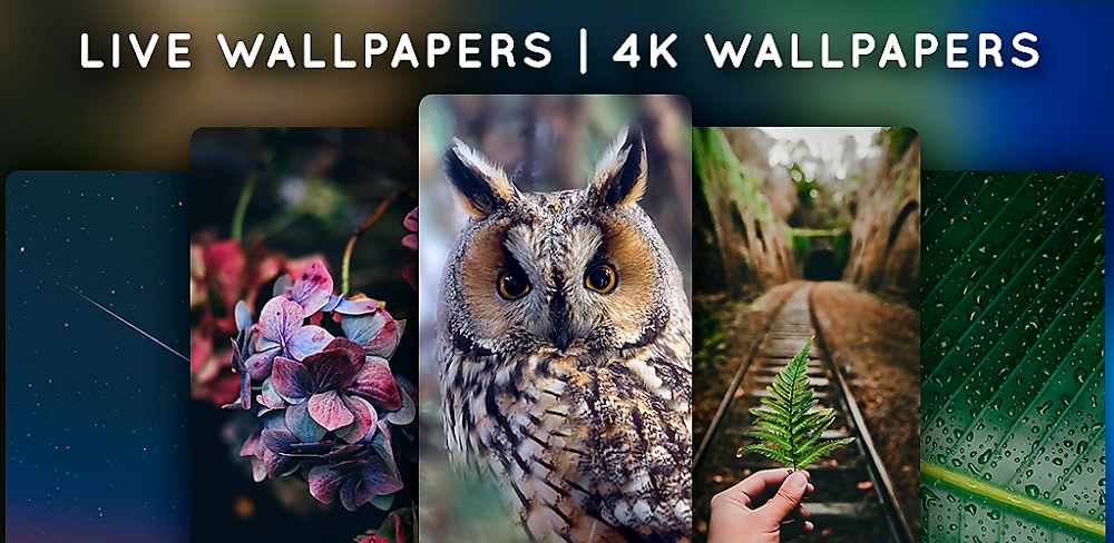 Live Wallpapers v3.2.4 MOD APK (Premium Unlocked) Download
