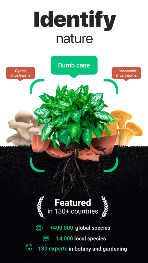 NatureID – Plant Identifier
