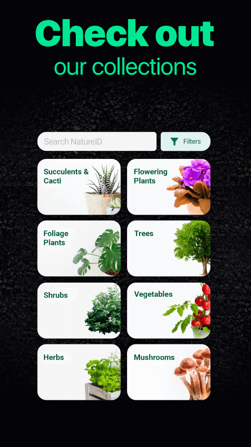 NatureID – Plant Identifier
