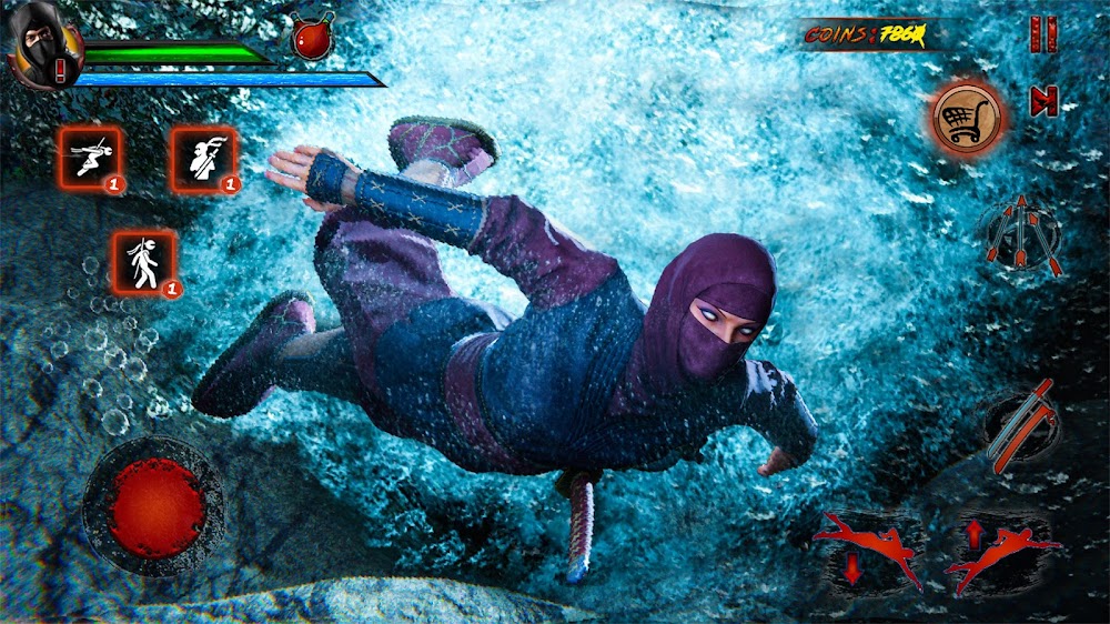 Shadow Ninja Warrior Fighting