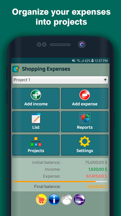 Shopping Expenses