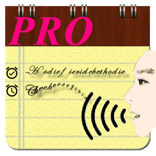 Voice Notes (Pro)