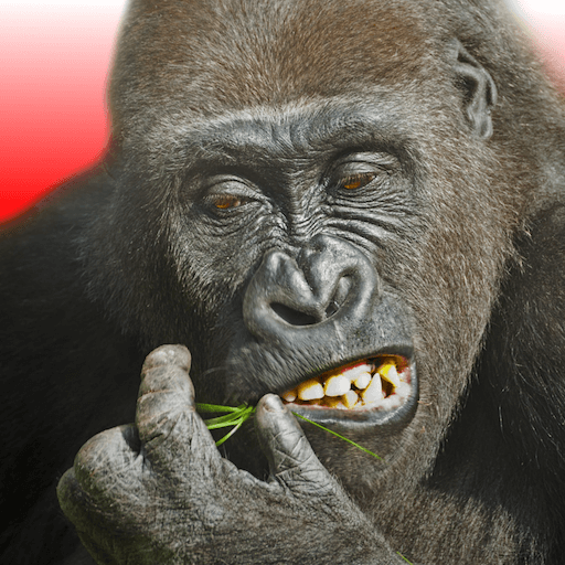 Flying Gorilla v5.1.1 MOD APK (Free Rewards)