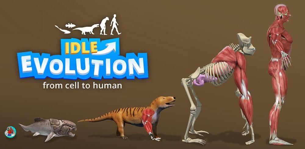 Idle Evolution: From Cell To