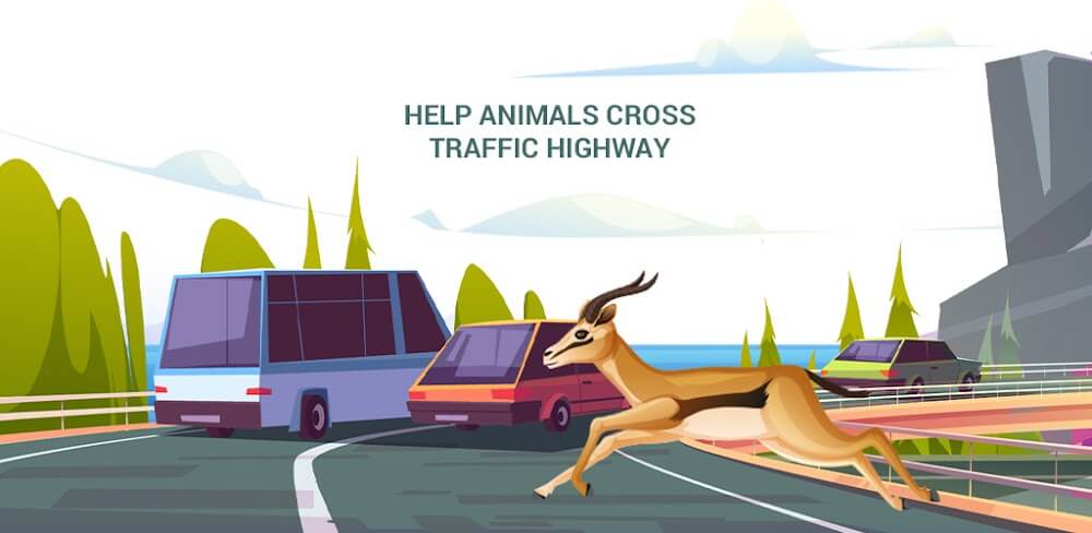 Animal Pets Traffic Highway