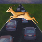 Animal Pets Traffic Highway
