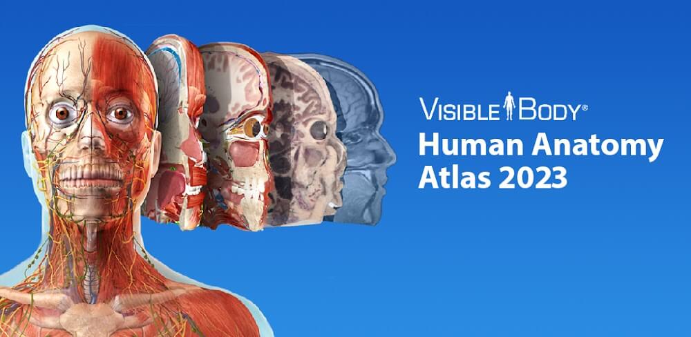 Human Anatomy Atlas 2024