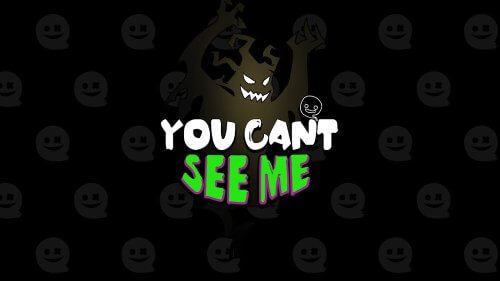 You Can’t See Me