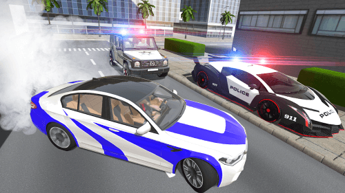 Police VS Crime