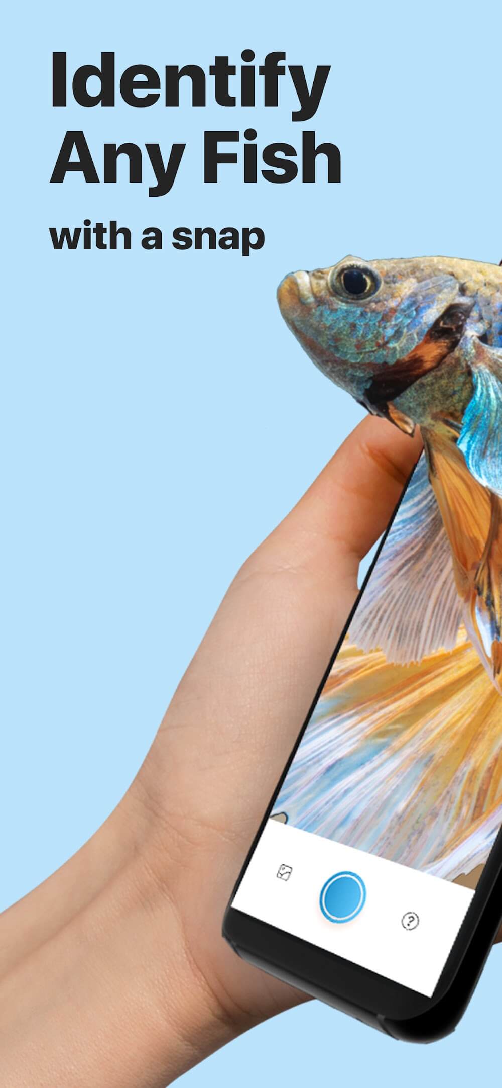 Picture Fish Fish Identifier v2.4.22 MOD APK (Premium Unlocked) Download