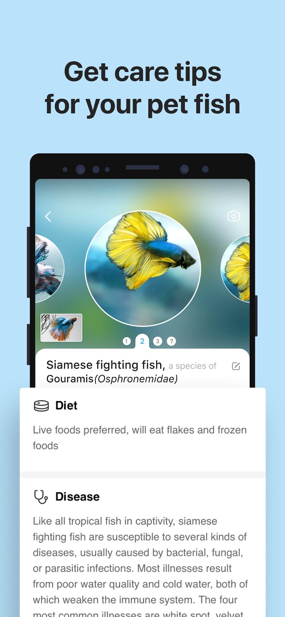 Picture Fish Fish Identifier v2.4.22 MOD APK (Premium Unlocked) Download