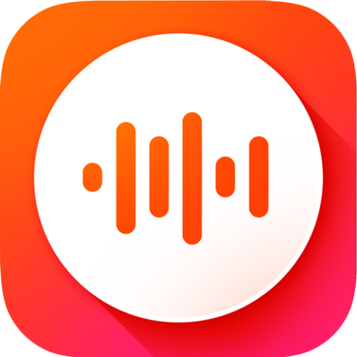 Voice Recorder Pro – VoiceX