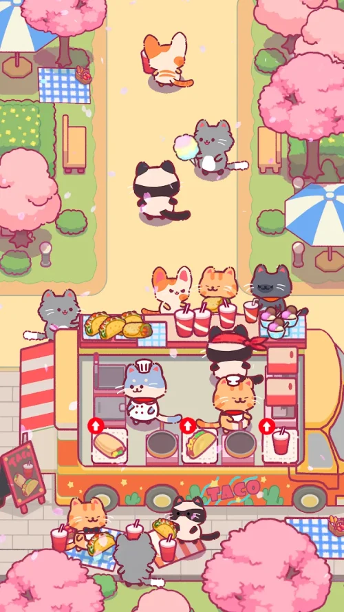 Cat Restaurant