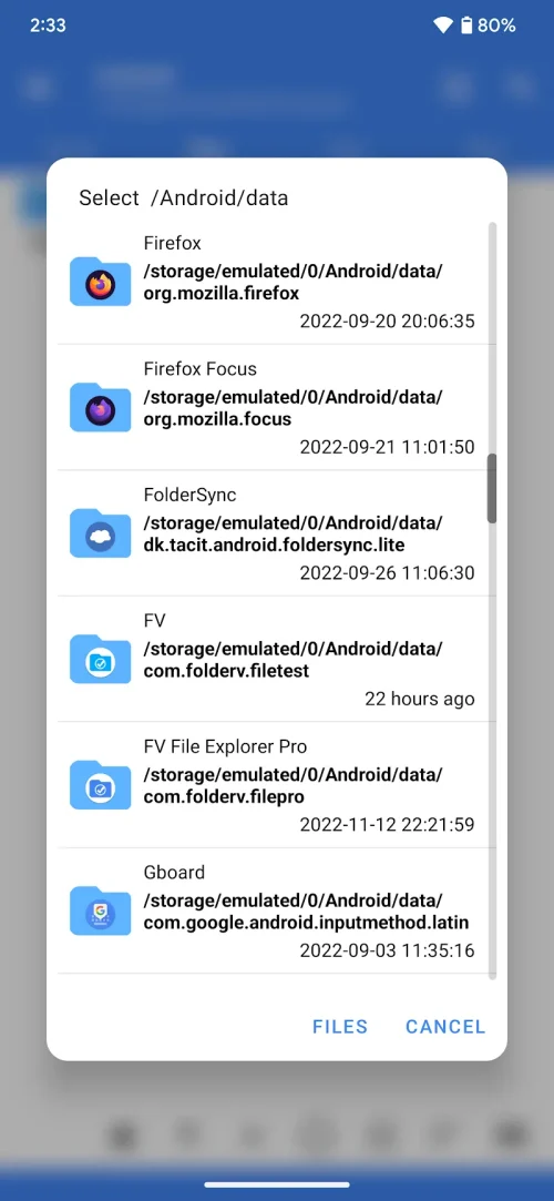 FV File Pro