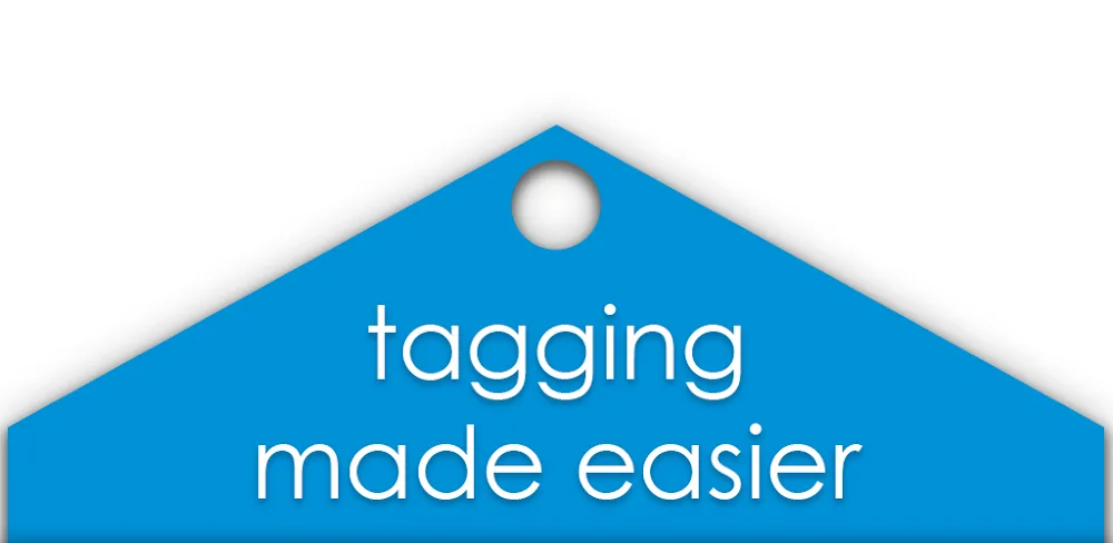 Automatic Tag Editor