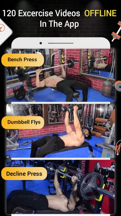 Pro Gym Workout -Gym & Fitness
