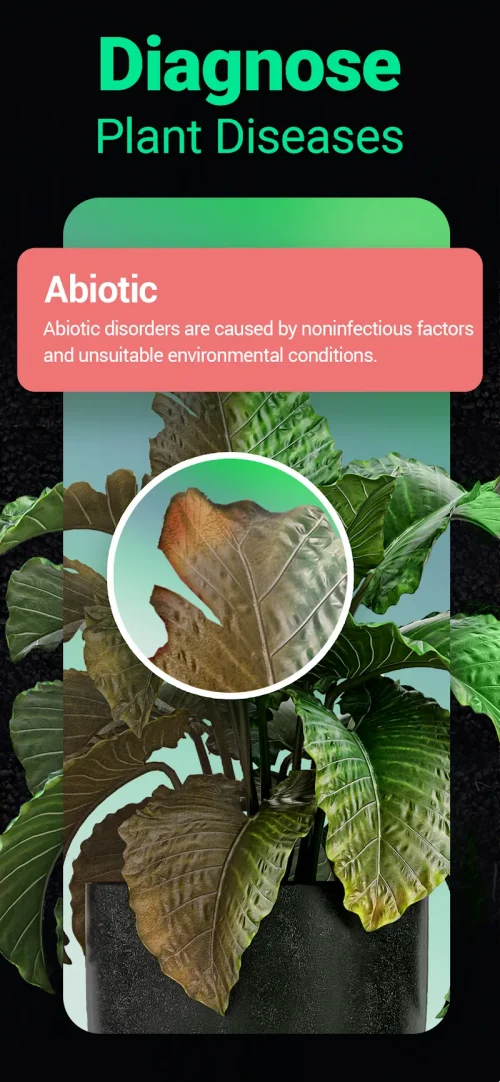 Plantum – Plant Identifier