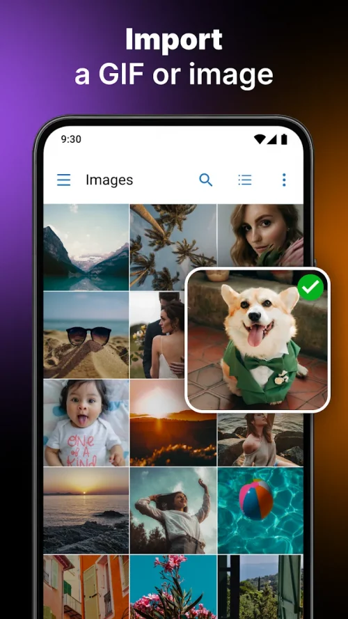 GIF Live Wallpaper