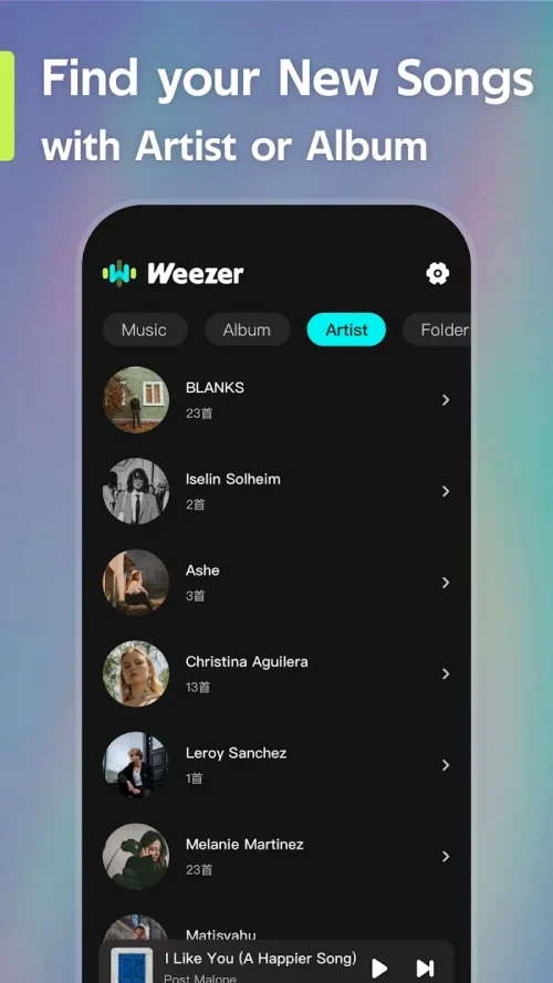 Offline Music Player- Weezer