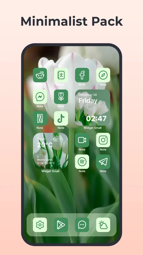 Themes: Widgets & Icon Changer