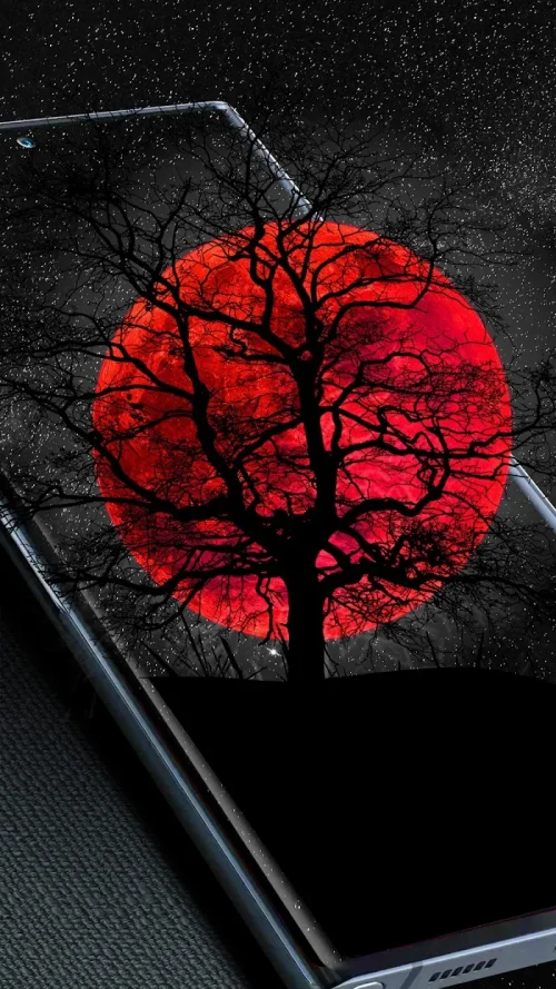 3D Live Wallpapers 4D video 4K
