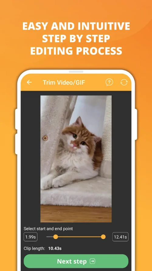 Video & GIF Memes