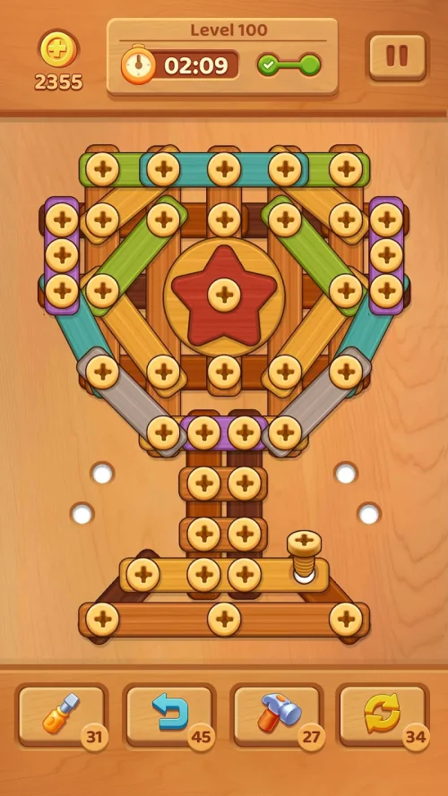 Wooden Screw: Nuts and Bolts