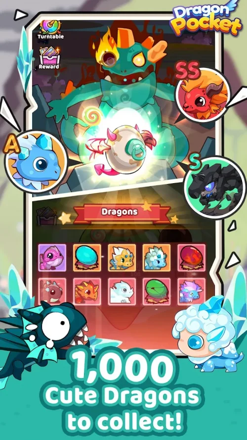 Dragon Pocket