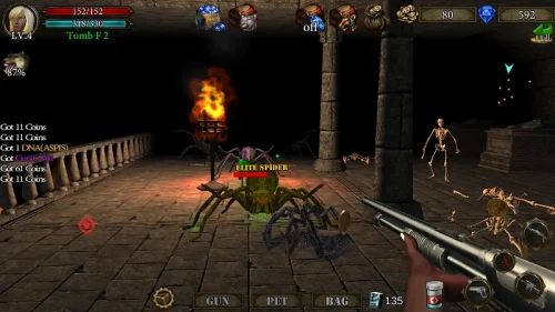 Dungeon Shooter : Dark Temple