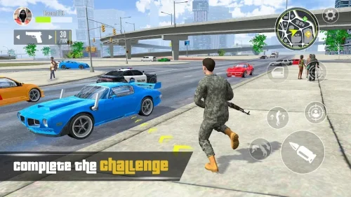 Vehicle Master: Vice City