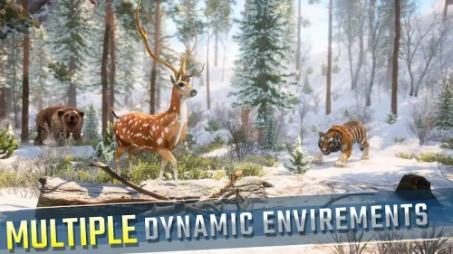 Wild Animal Hunting Games FPS