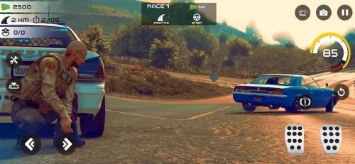 Highway Police Chase Car Games