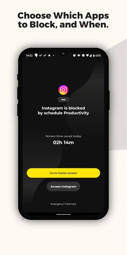 Unpluq: Control Your Time