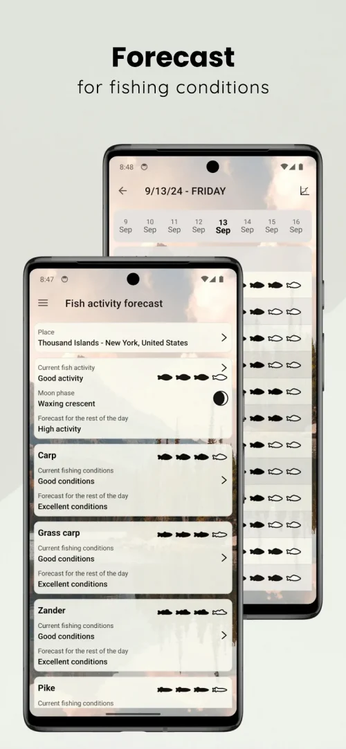 When to Fish – Fishing App