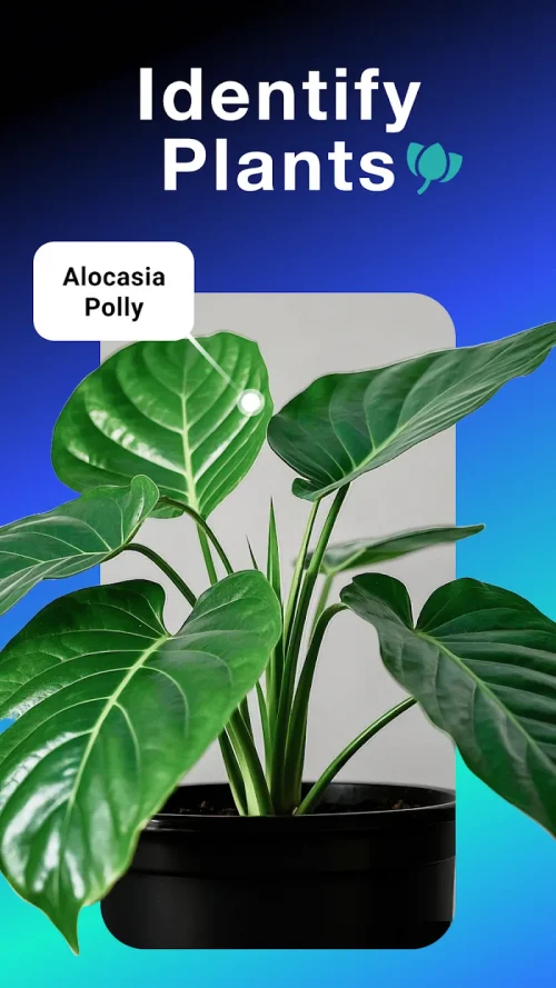 All Scanner: Scan & Identify