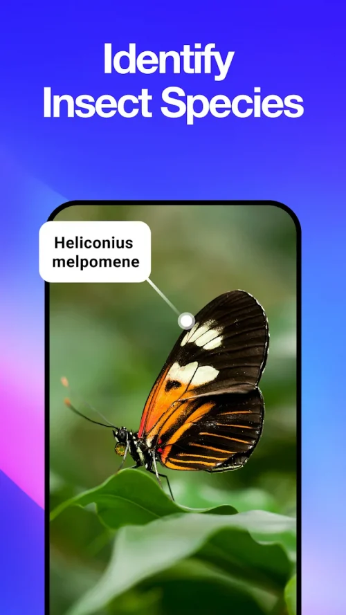 All Scanner: Scan & Identify