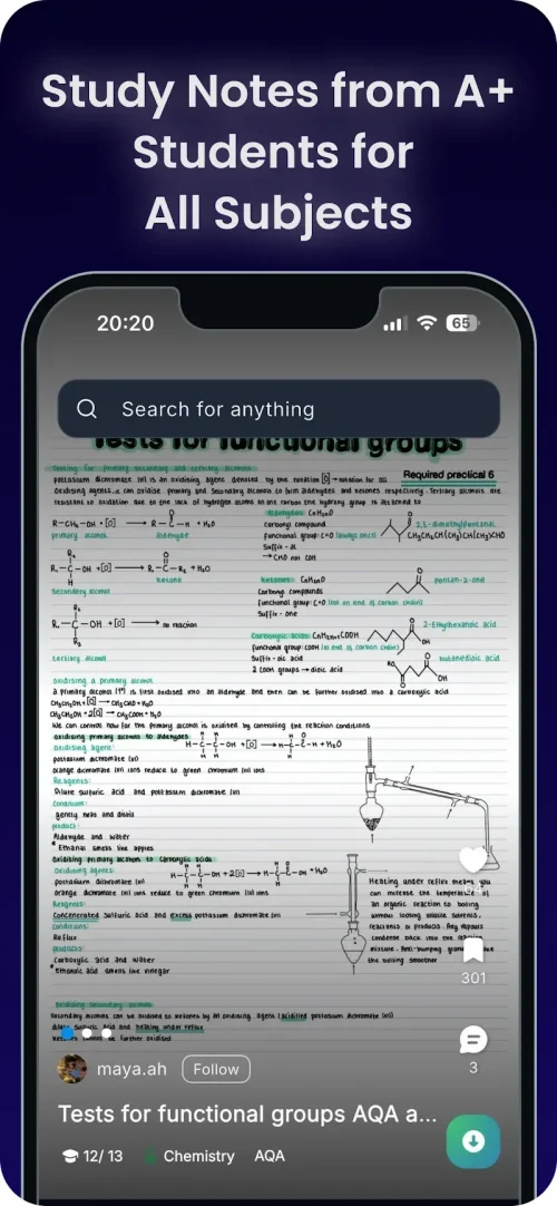 Knowunity: AI Study Helper