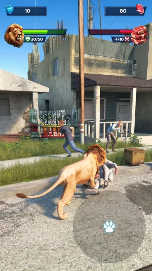 Lion Survival – Wild Beast Sim