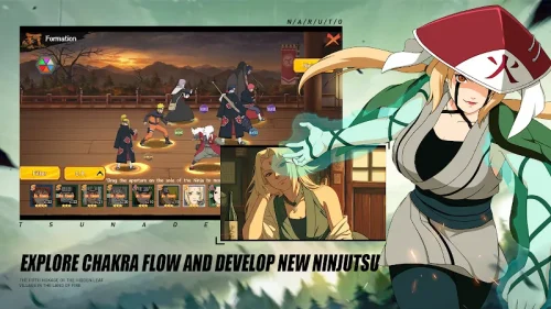 Shinobi Heir